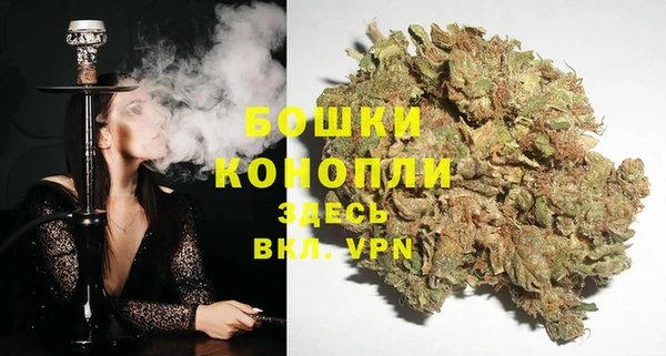 дурь Арсеньев