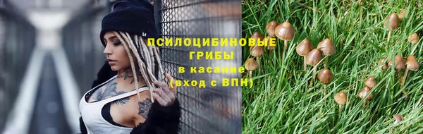 индика Балахна