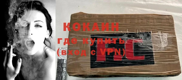 индика Балахна